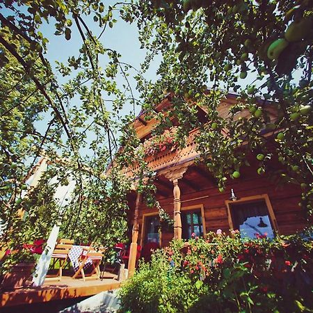Villa Mietowy Aniol Ustrzyki Dolne Exterior foto