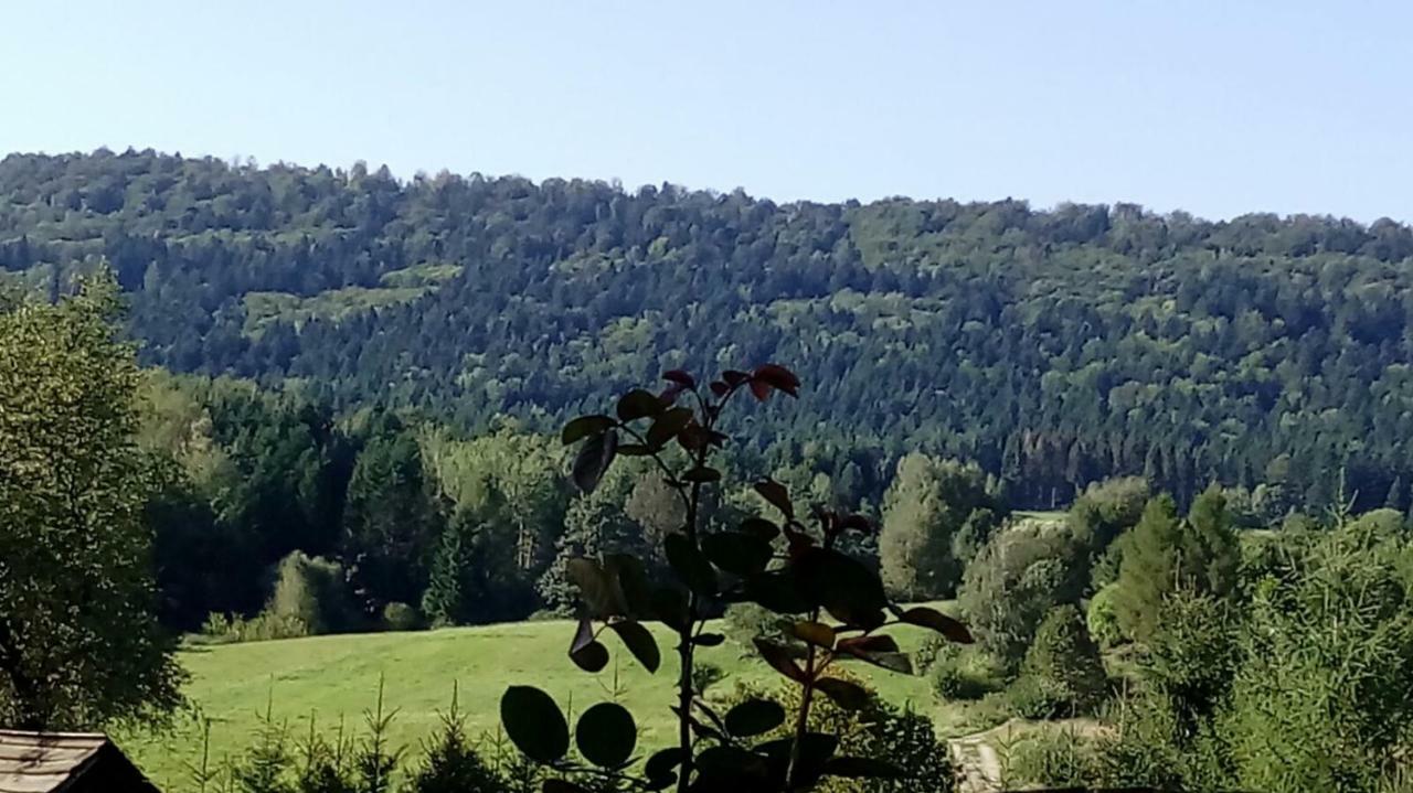Villa Mietowy Aniol Ustrzyki Dolne Exterior foto