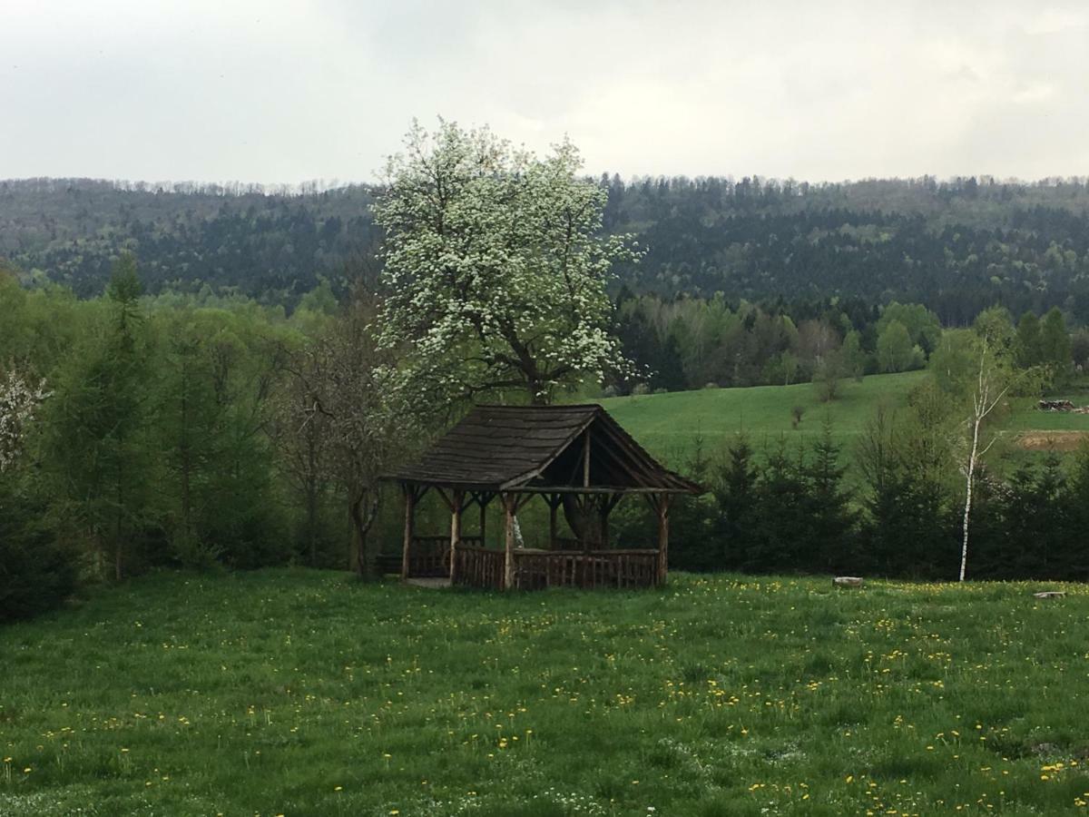 Villa Mietowy Aniol Ustrzyki Dolne Exterior foto