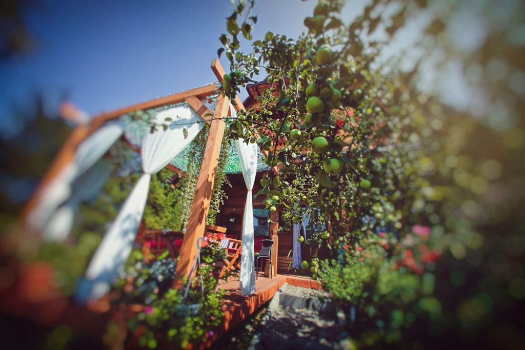 Villa Mietowy Aniol Ustrzyki Dolne Exterior foto