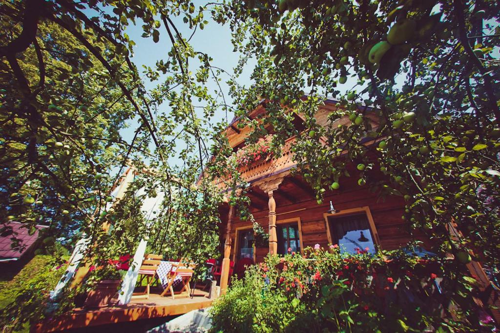 Villa Mietowy Aniol Ustrzyki Dolne Exterior foto