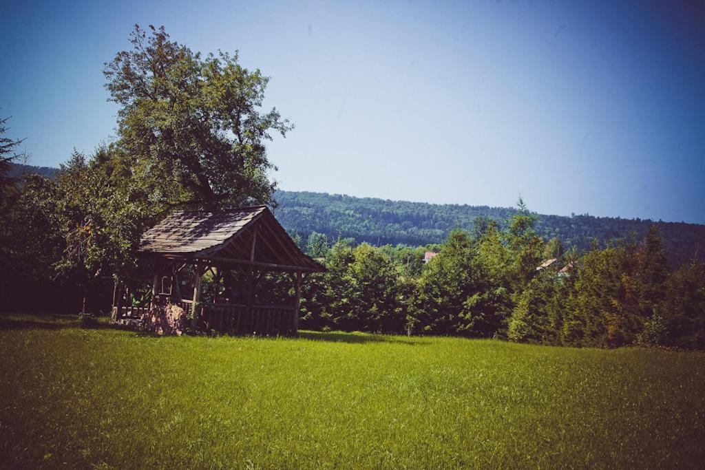 Villa Mietowy Aniol Ustrzyki Dolne Exterior foto